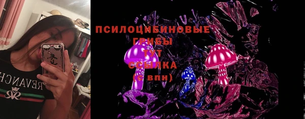 мдма Елизово