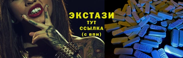тгк Ельня