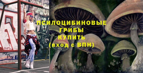 мдма Елизово