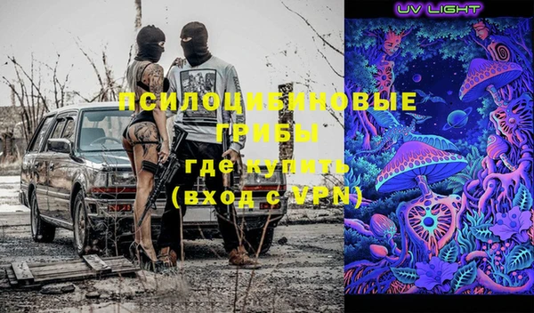 тгк Ельня