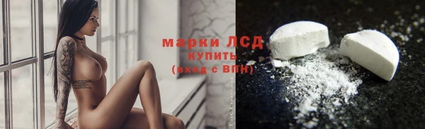 тгк Ельня