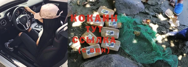 тгк Ельня