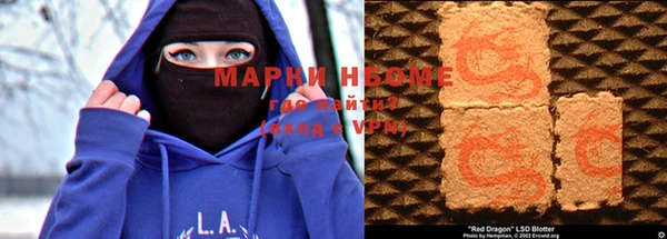 тгк Ельня
