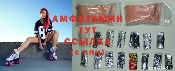 тгк Ельня