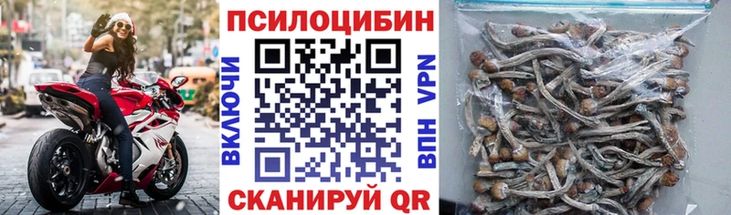 Купить где  Киреевск  Галлюциногенные грибы мицелий 